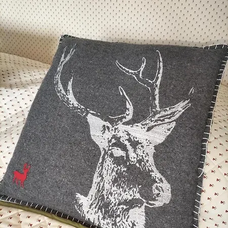 Davosblick 公寓 达沃斯